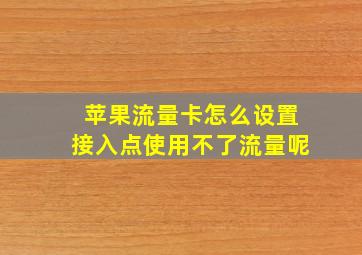 苹果流量卡怎么设置接入点使用不了流量呢