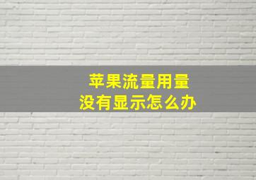 苹果流量用量没有显示怎么办