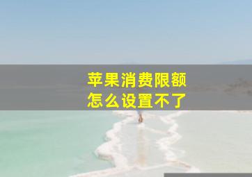 苹果消费限额怎么设置不了