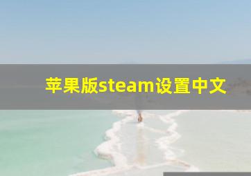 苹果版steam设置中文