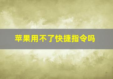 苹果用不了快捷指令吗