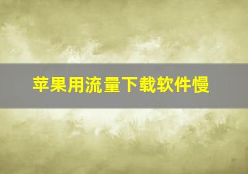 苹果用流量下载软件慢