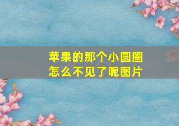 苹果的那个小圆圈怎么不见了呢图片