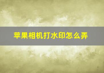 苹果相机打水印怎么弄