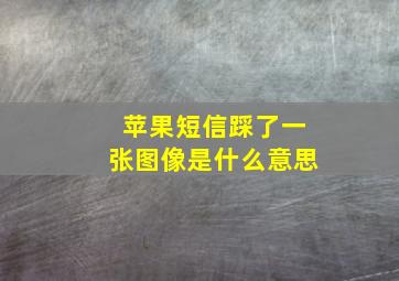 苹果短信踩了一张图像是什么意思