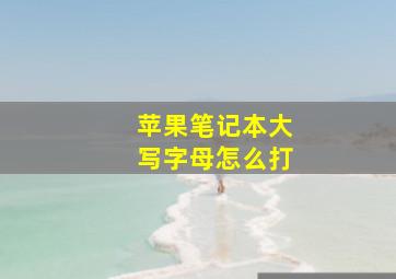 苹果笔记本大写字母怎么打