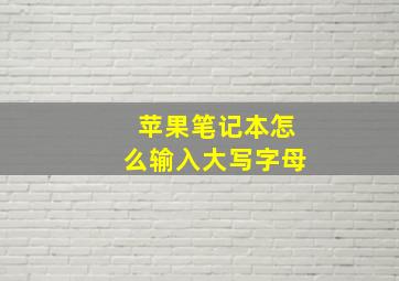 苹果笔记本怎么输入大写字母