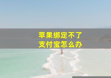 苹果绑定不了支付宝怎么办