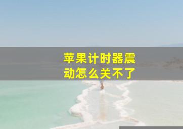 苹果计时器震动怎么关不了