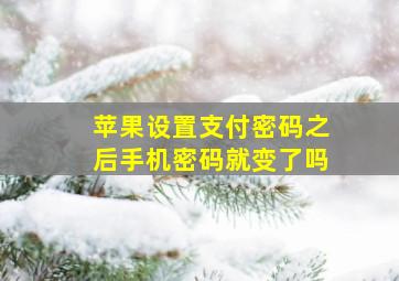 苹果设置支付密码之后手机密码就变了吗