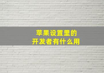 苹果设置里的开发者有什么用