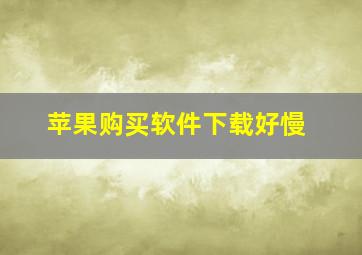 苹果购买软件下载好慢