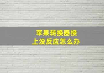 苹果转换器接上没反应怎么办