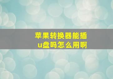 苹果转换器能插u盘吗怎么用啊