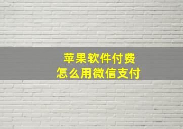 苹果软件付费怎么用微信支付