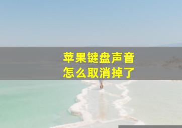 苹果键盘声音怎么取消掉了