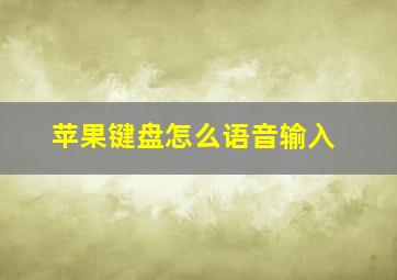 苹果键盘怎么语音输入