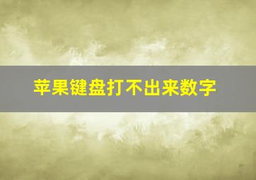 苹果键盘打不出来数字