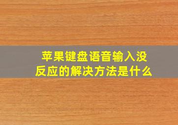 苹果键盘语音输入没反应的解决方法是什么