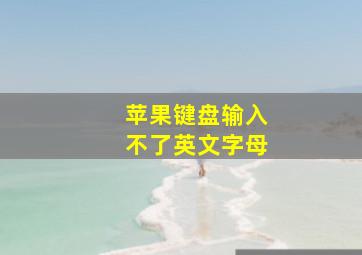 苹果键盘输入不了英文字母