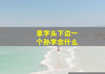 草字头下边一个孙字念什么