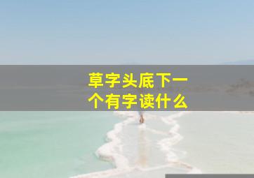 草字头底下一个有字读什么