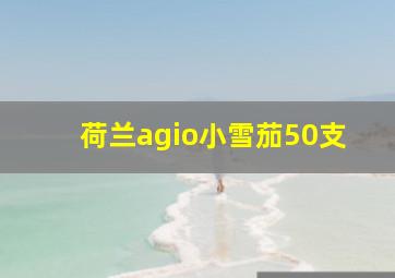 荷兰agio小雪茄50支