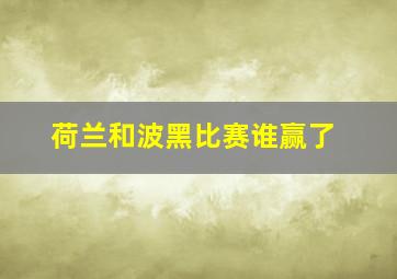 荷兰和波黑比赛谁赢了