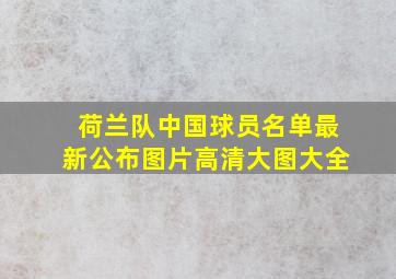 荷兰队中国球员名单最新公布图片高清大图大全