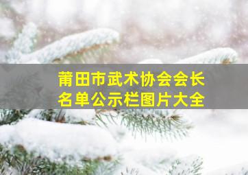 莆田市武术协会会长名单公示栏图片大全