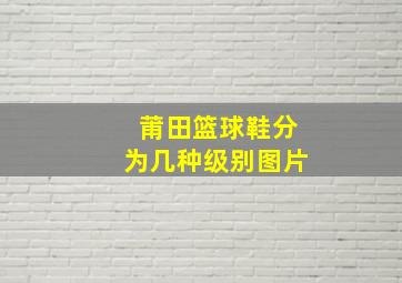 莆田篮球鞋分为几种级别图片