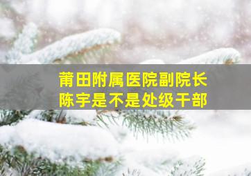 莆田附属医院副院长陈宇是不是处级干部