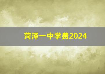 菏泽一中学费2024