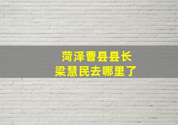 菏泽曹县县长梁慧民去哪里了