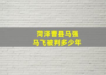 菏泽曹县马强马飞被判多少年