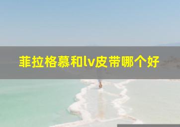 菲拉格慕和lv皮带哪个好