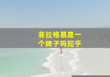 菲拉格慕是一个牌子吗知乎