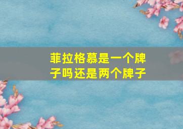 菲拉格慕是一个牌子吗还是两个牌子