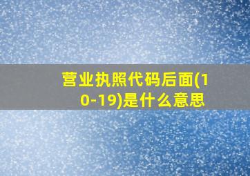 营业执照代码后面(10-19)是什么意思