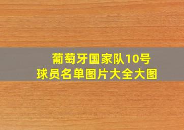 葡萄牙国家队10号球员名单图片大全大图