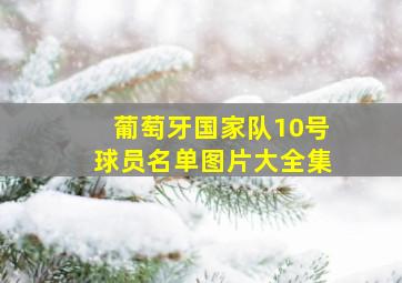 葡萄牙国家队10号球员名单图片大全集