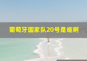 葡萄牙国家队20号是谁啊