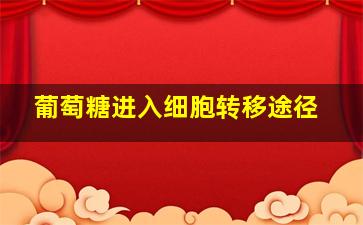 葡萄糖进入细胞转移途径