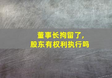 董事长拘留了,股东有权利执行吗