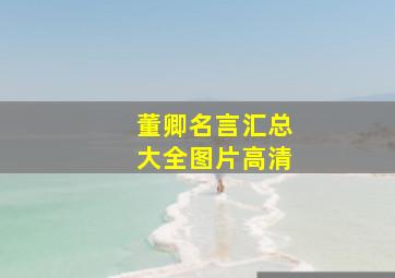 董卿名言汇总大全图片高清