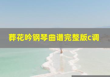 葬花吟钢琴曲谱完整版c调