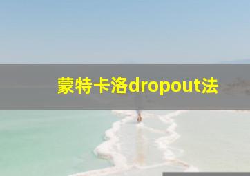 蒙特卡洛dropout法