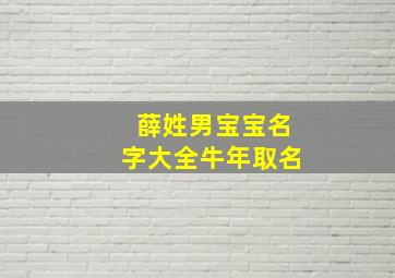 薛姓男宝宝名字大全牛年取名