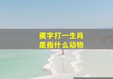 藏字打一生肖是指什么动物