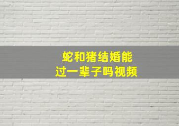 蛇和猪结婚能过一辈子吗视频